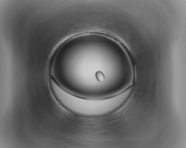 X0000113081500200908281212