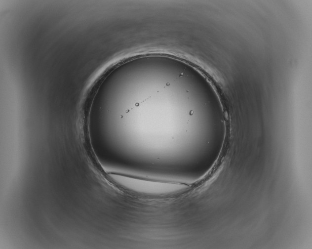 X0000113081502200908281212