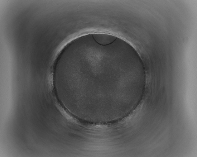 X0000113081503200908281213