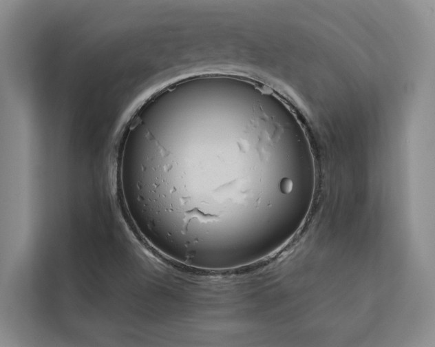 X0000113081504200908281213