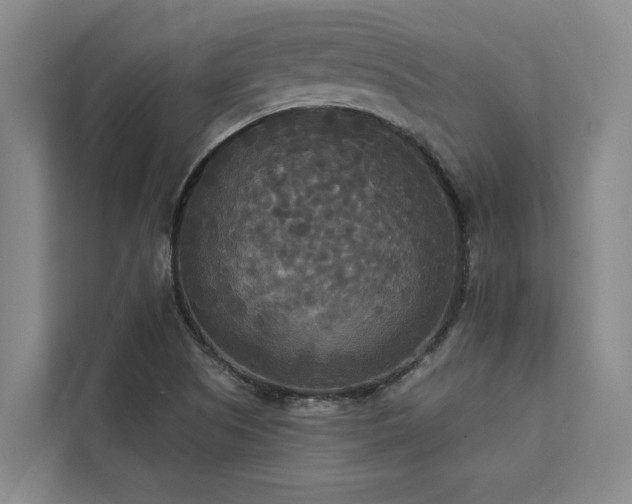 X0000113081505200908281213