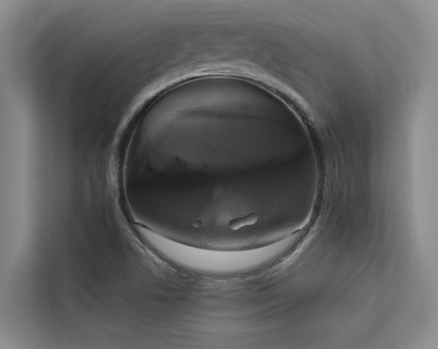 X0000113081506200908281213
