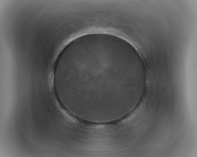 X0000113081507200908281213