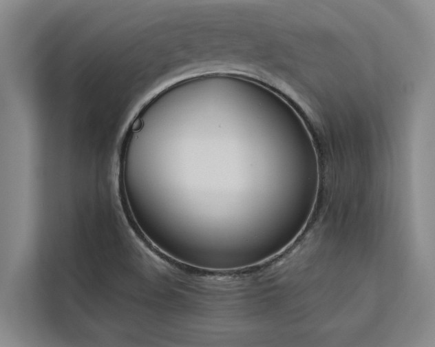 X0000113081508200908281213