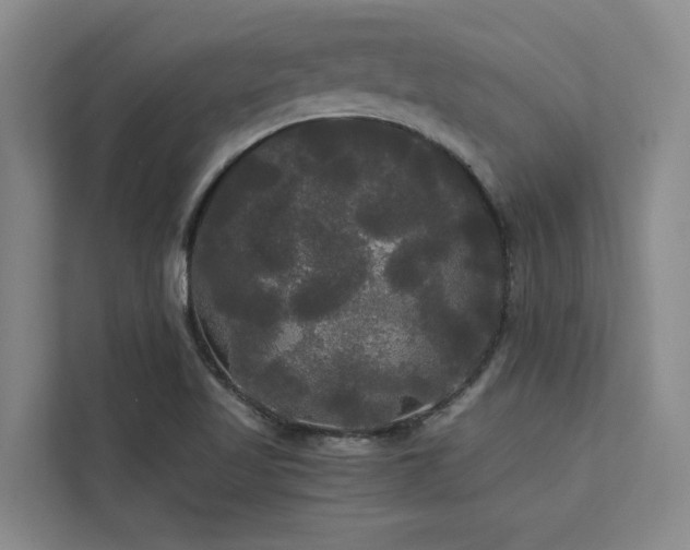 X0000113081509200908281213