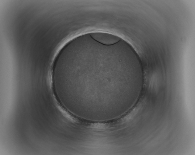 X0000113081511200908281213