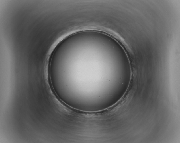 X0000113081512200908281213