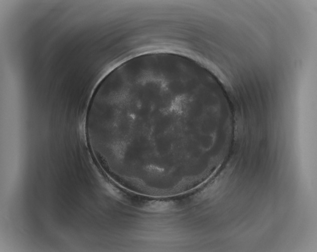 X0000113081513200908281213