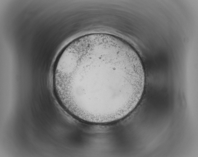 X0000113081514200908281213