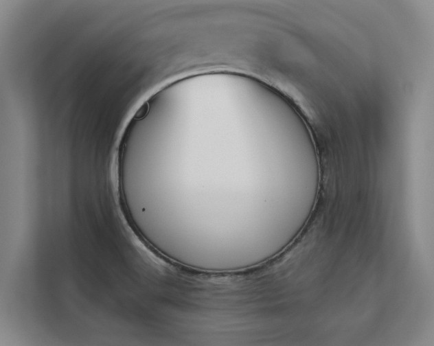 X0000113081516200908281213