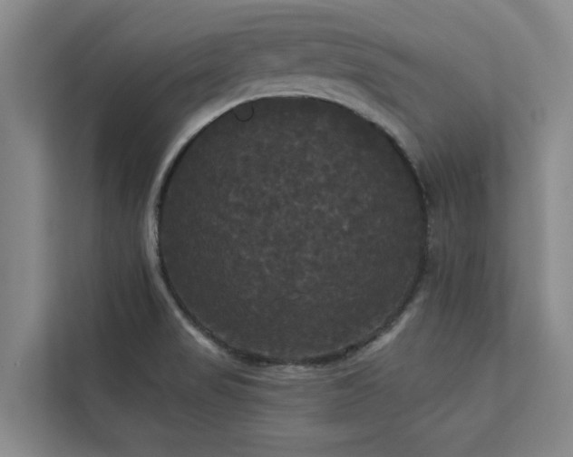 X0000113081517200908281213