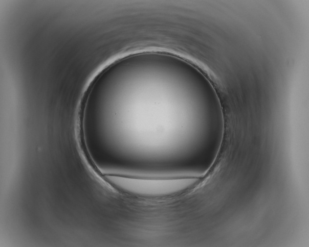 X0000113081518200908281213