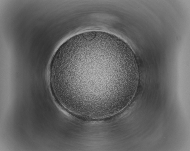 X0000113081519200908281213