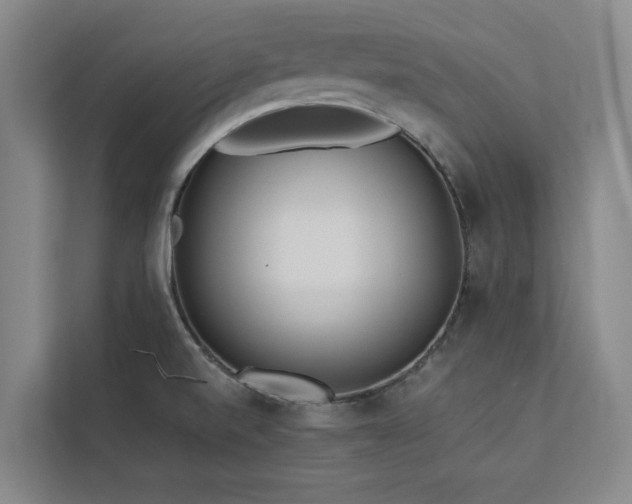 X0000113081520200908281213