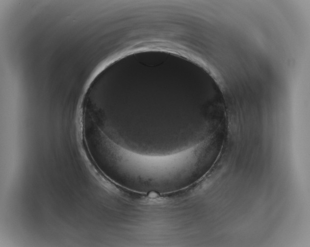 X0000113081522200908281213