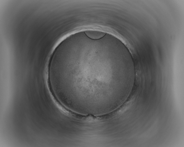 X0000113081523200908281213