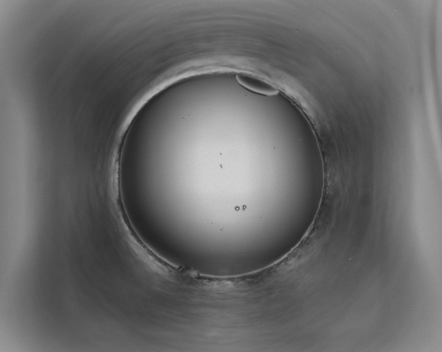 X0000113081524200908281213