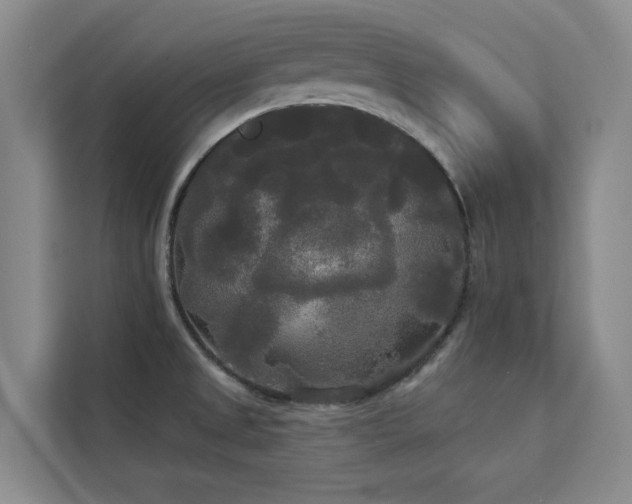 X0000113081525200908281213