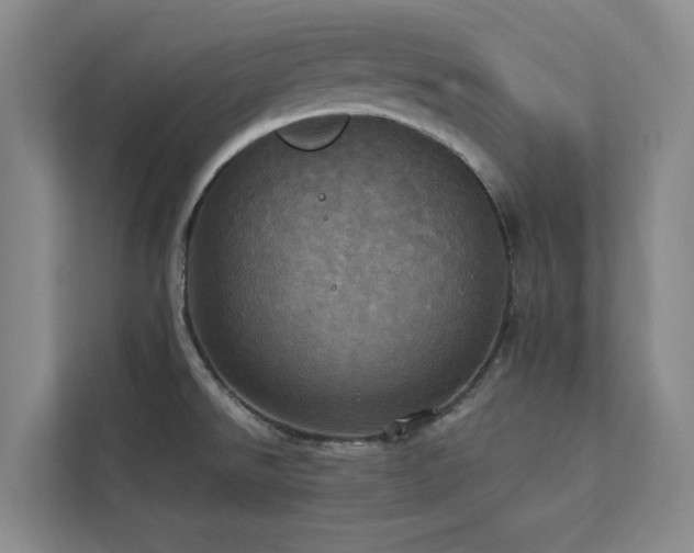 X0000113081526200908281213