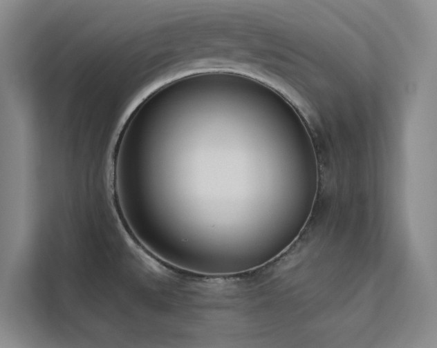 X0000113081527200908281213