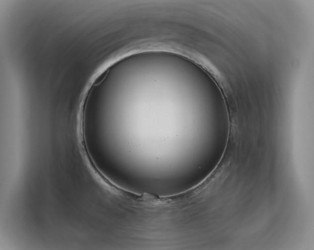 X0000113081528200908281213