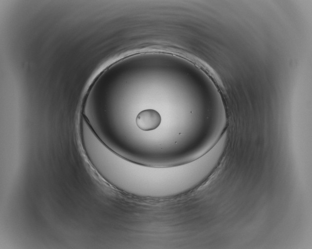 X0000113081530200908281213