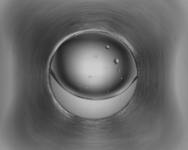 X0000113081532200908281213