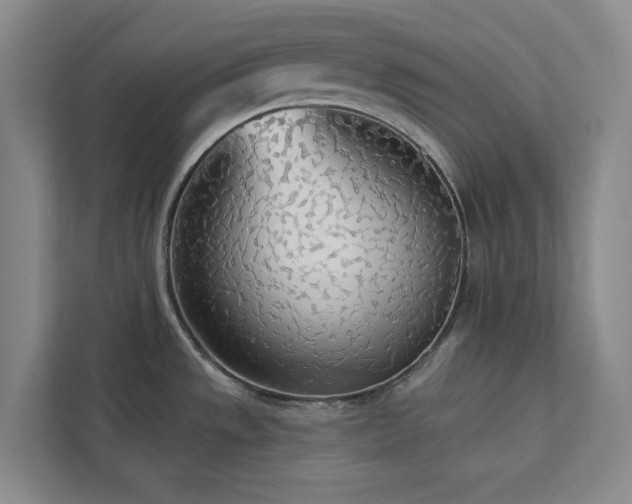 X0000113081533200908281213
