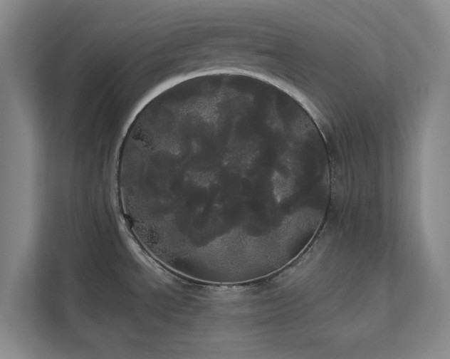 X0000113081534200908281213