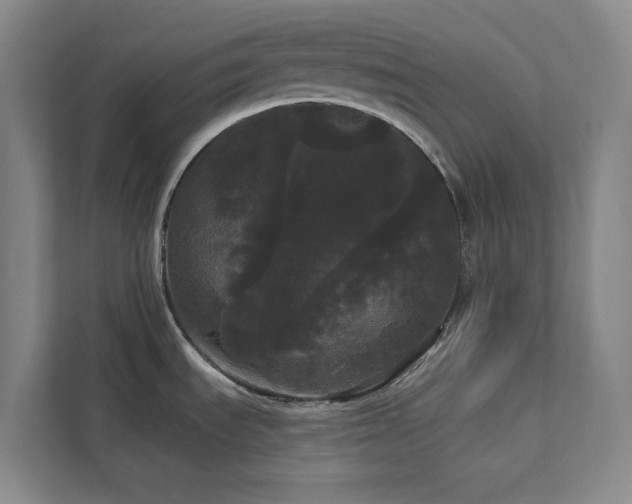 X0000113081535200908281213