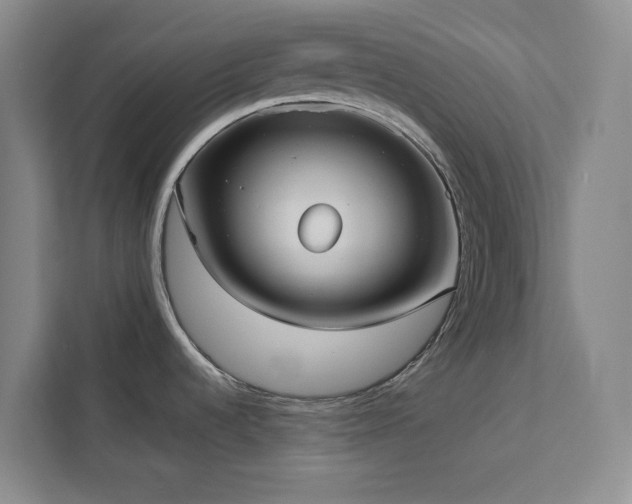 X0000113081536200908281213