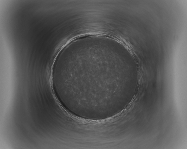 X0000113080002200909041138