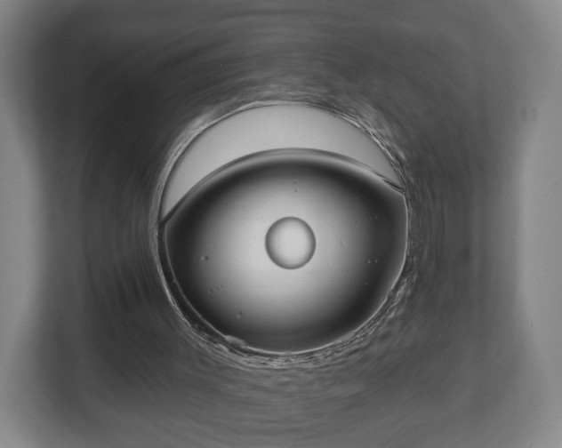 X0000113080003200909041138