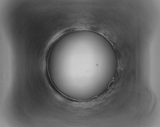 X0000113080005200909041138