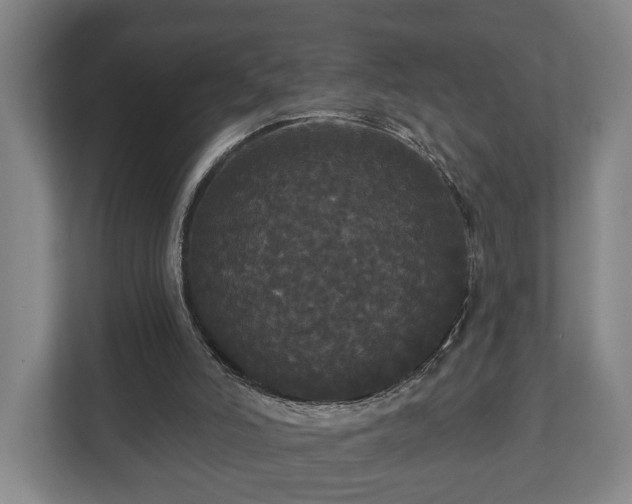 X0000113080006200909041138