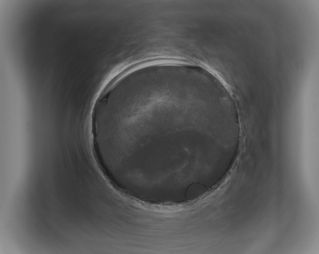 X0000113080008200909041138