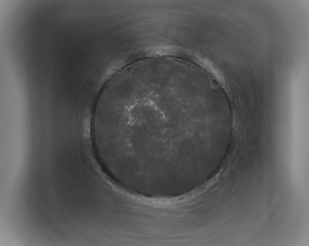 X0000113080010200909041138