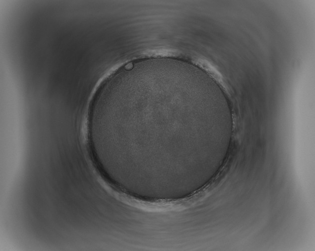 X0000113080012200909041138