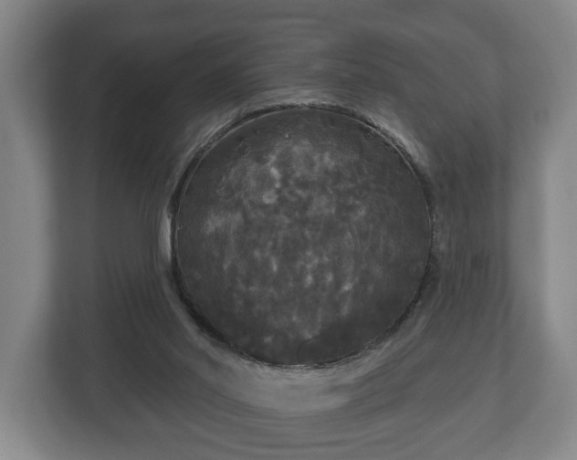 X0000113080014200909041138