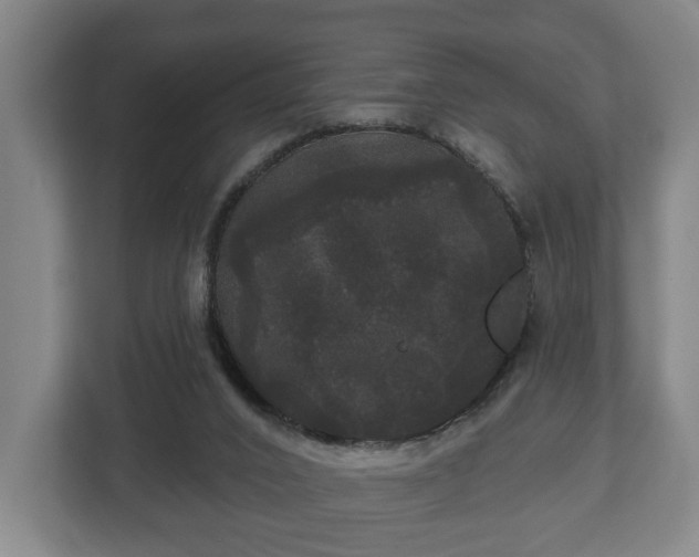 X0000113080016200909041138