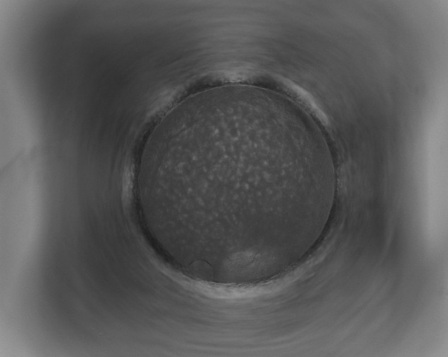 X0000113080018200909041138