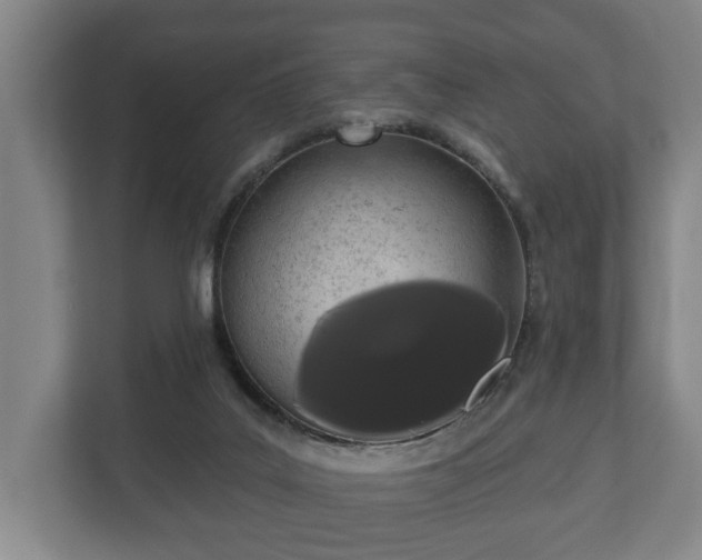 X0000113080019200909041138