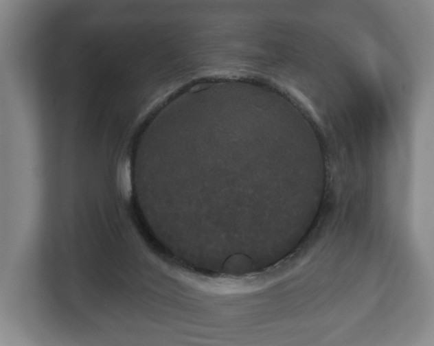 X0000113080020200909041138