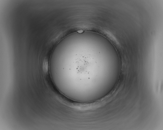 X0000113080021200909041138