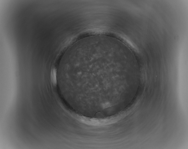 X0000113080022200909041138