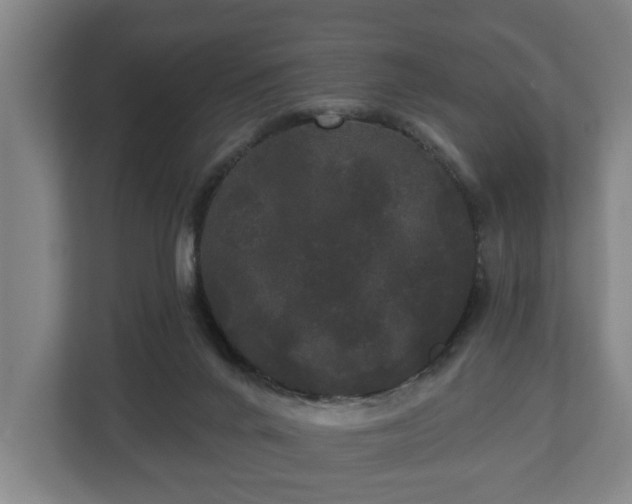 X0000113080024200909041138