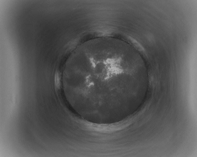 X0000113080026200909041138