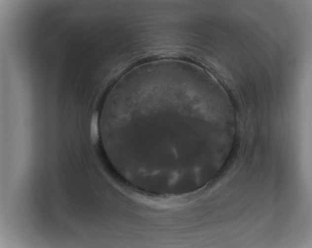 X0000113080028200909041138