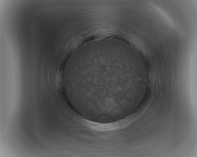 X0000113080034200909041138