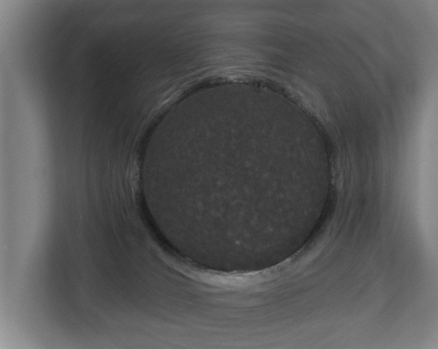 X0000113080036200909041138